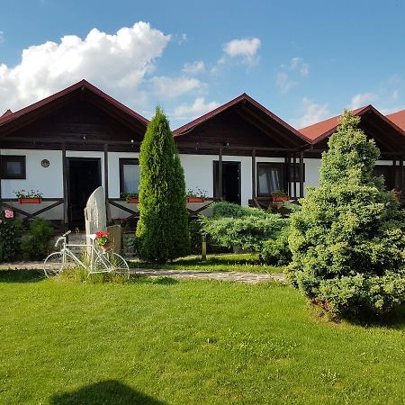 Pensiunea Valea Argesului Albestii Paminteni Екстер'єр фото