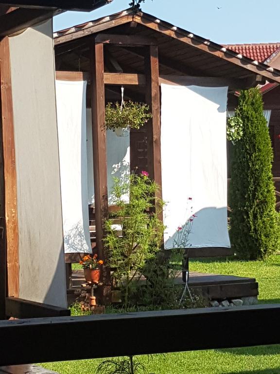 Pensiunea Valea Argesului Albestii Paminteni Екстер'єр фото